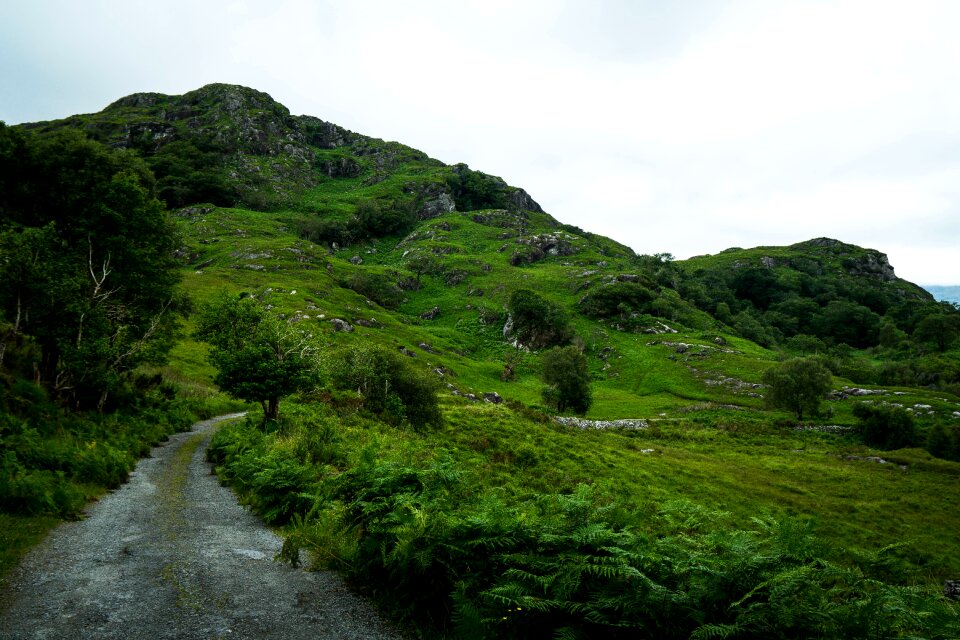 Green county kerry hill