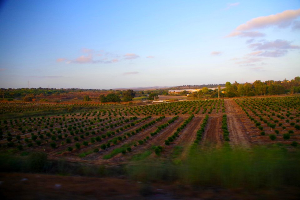 14-Israël-Excursion1 (92)