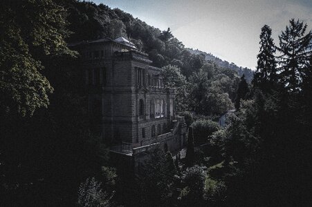 Forest landscape building