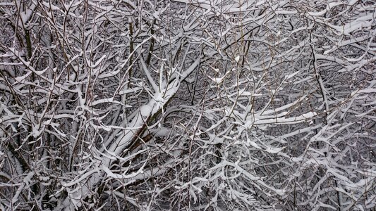 Abstract cold the background