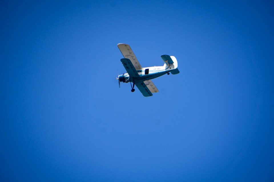 Sky aviaterminal blue