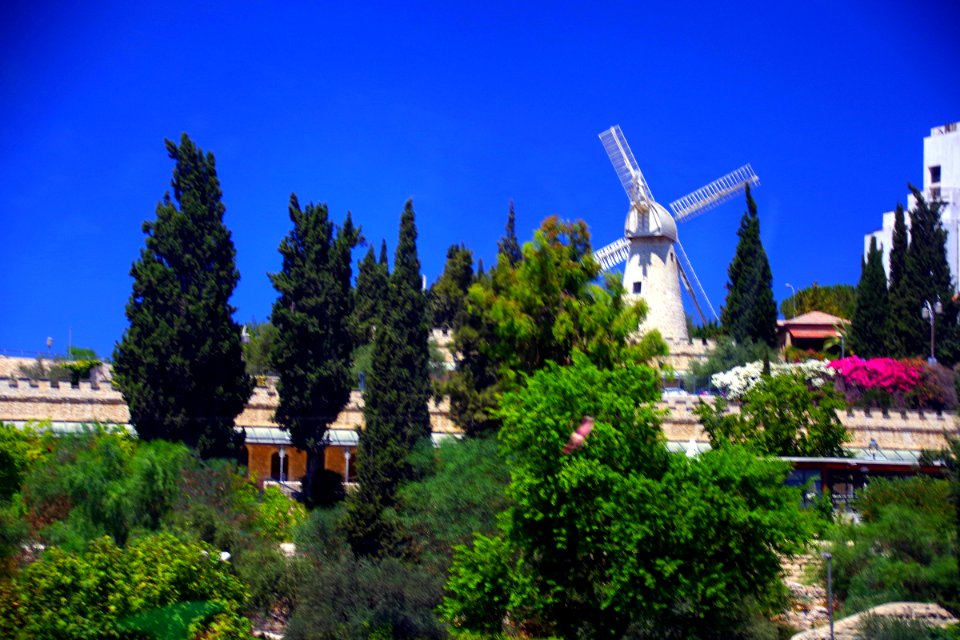 14-Israël-Excursion2 (19)