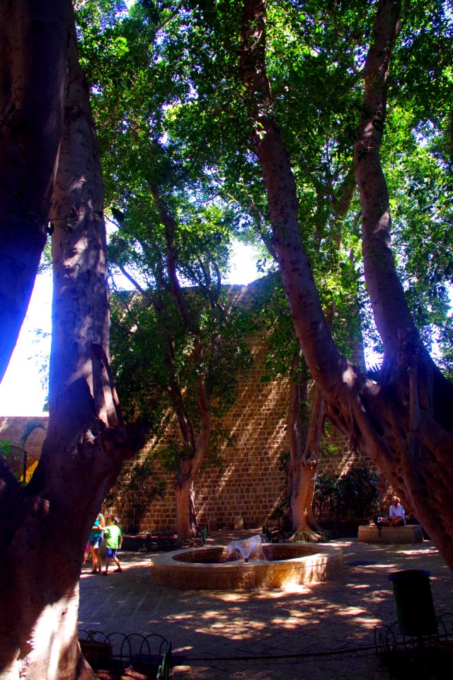 14-Israël-Acre (32)