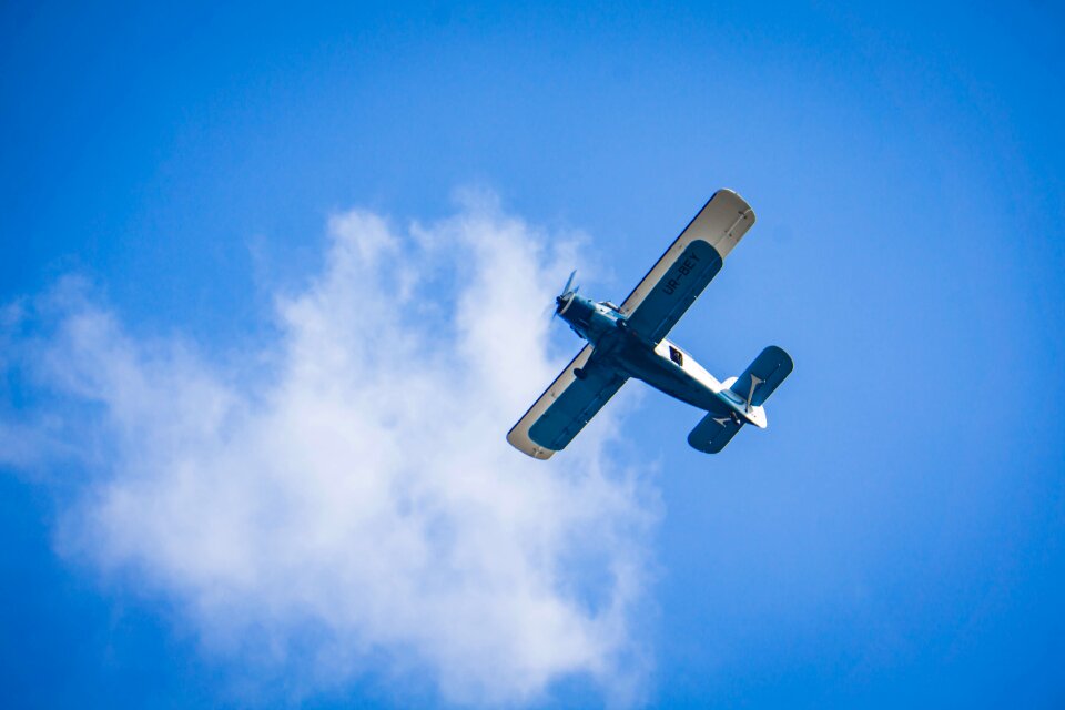 Sky aviaterminal blue