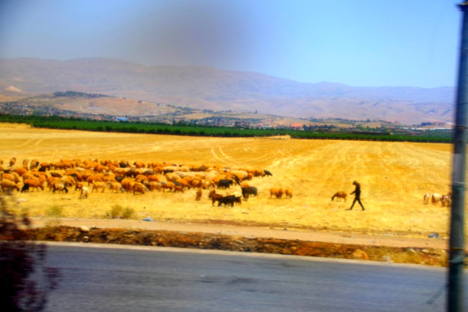 08-Liban (165)