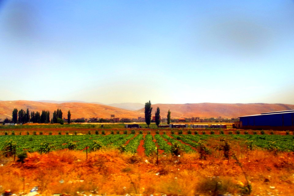 08-Liban (161)