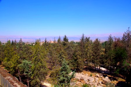 08-Liban (146)