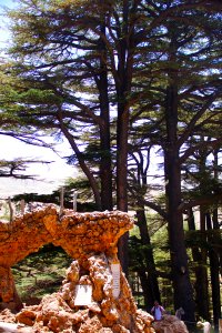 08-Liban (50)