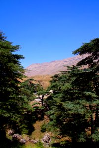 08-Liban (36)