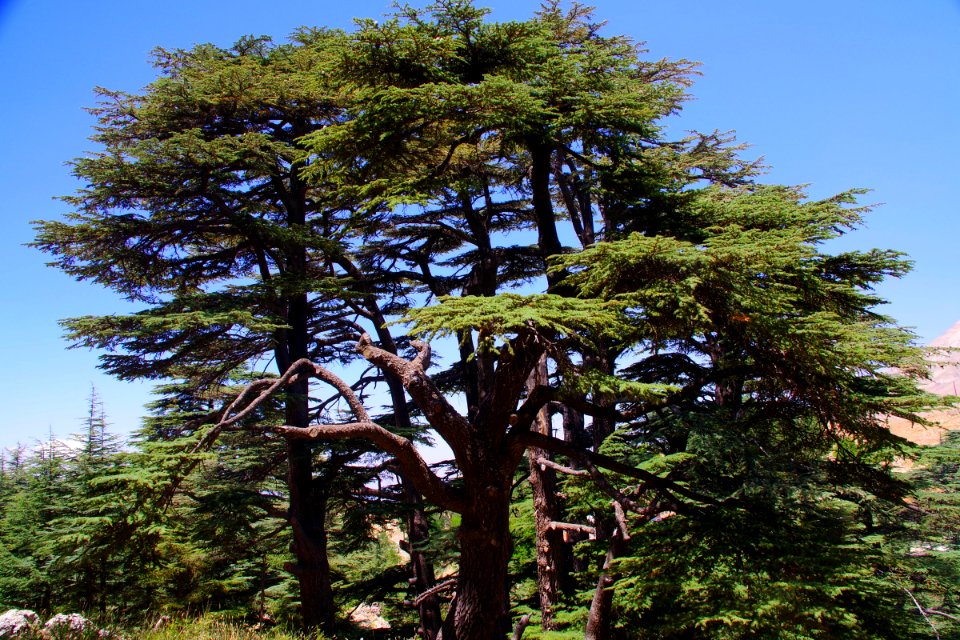 08-Liban (38)