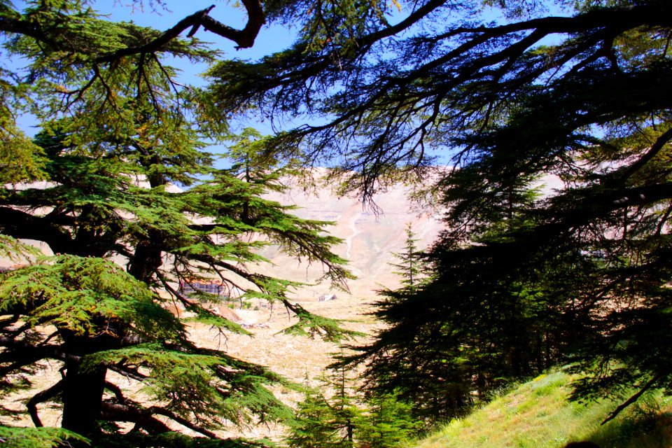 08-Liban (35)