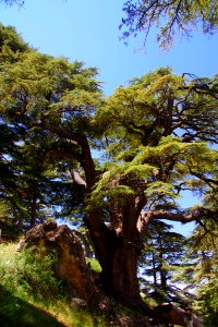 08-Liban (34)