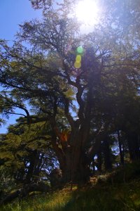 08-Liban (32)