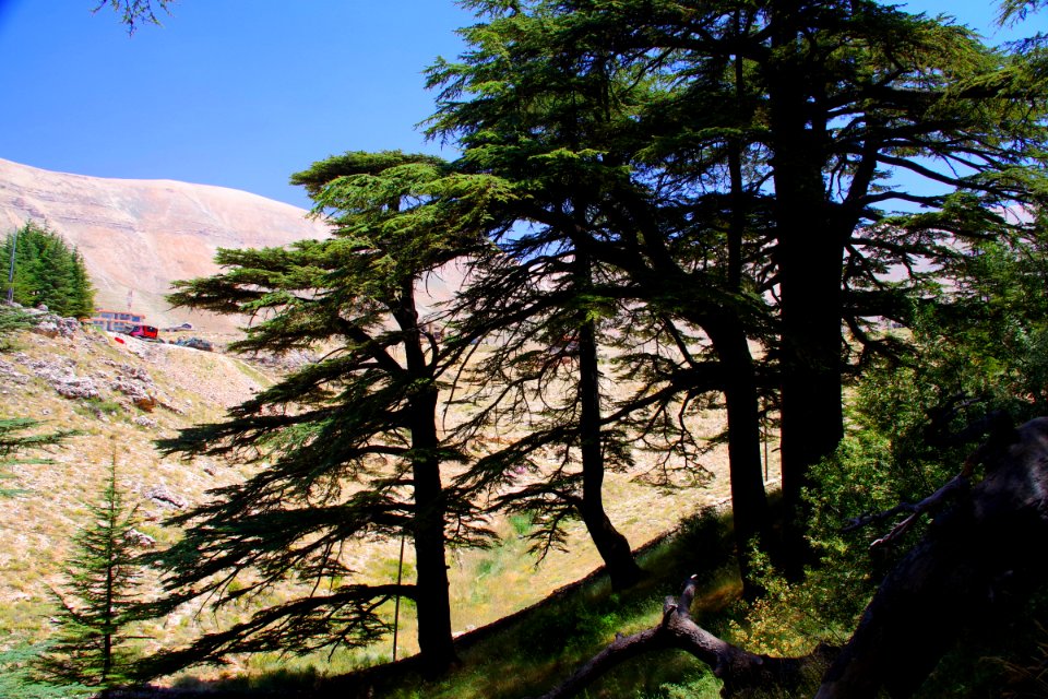 08-Liban (33)