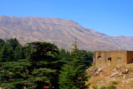 08-Liban (28)