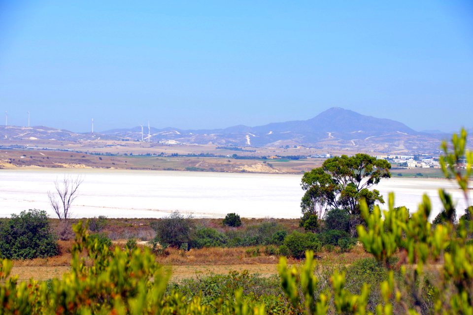 05-Larnaca (41)