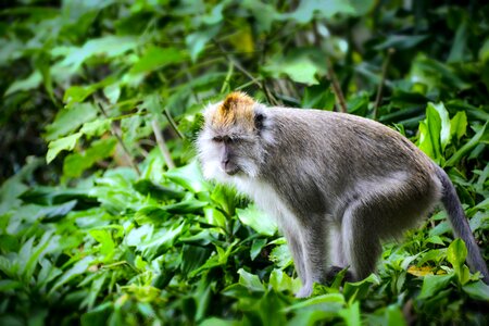 Zoo wildlife wild