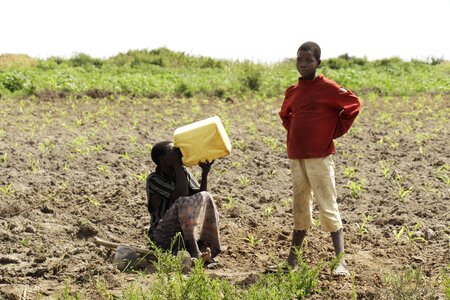 Farm water thirst photo