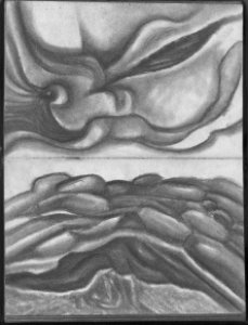 Carnet noir