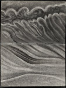 Carnet noir