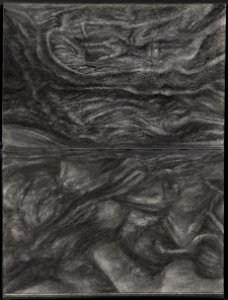 Carnet noir