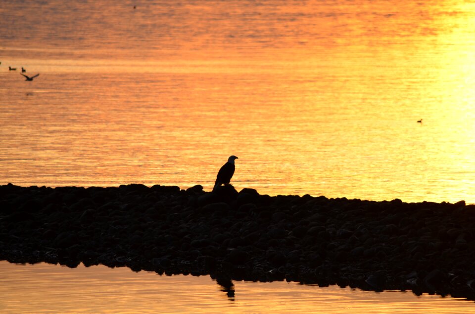 British columbia canada sunset