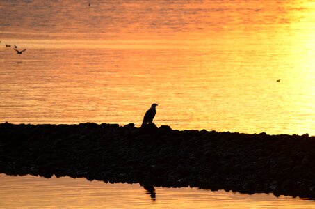 British columbia canada sunset