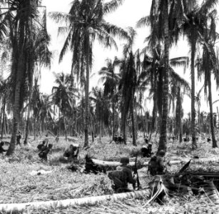 These 41st Division soldiers on Wakde island, Dutch New Gu…