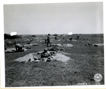 SC 190327 - Battle wise veterans of past campaigns dig the…