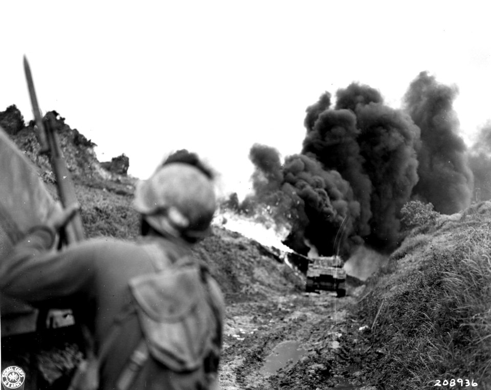 SC 208936 - A flame throwing tank of 96th Division burns o…