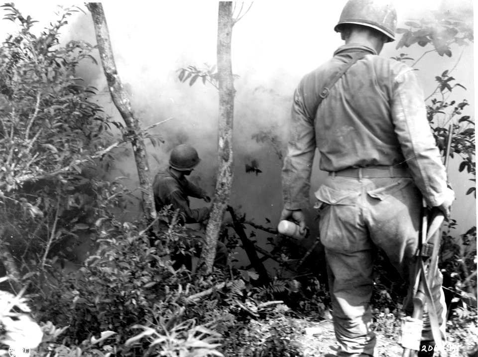 SC 206494 - The 96th Division’s mop-up patrols neutralize …