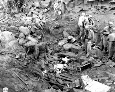 SC 207482 - U.S. troops inspect the smashed remains of a J… photo