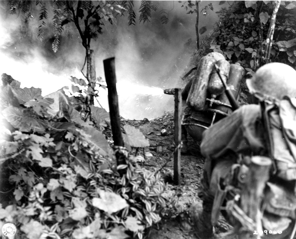 SC 209066 - Men of Co. B., 165th Inf. Regt., 27th Inf. Div…