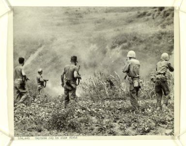 Smoke grenades and Marine rifle fire flushed the Jap in th… photo
