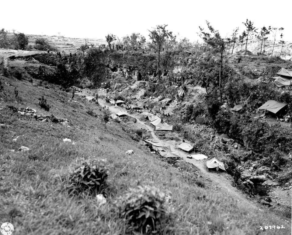 SC 207962 - This is the bivouac area of the 3rd Bn., 305th… photo