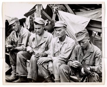 Dad went along, when the three Vanskike boys went to war. …
