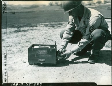 A Sig Corps pigeon is placed into a cage with 5 other pige… photo