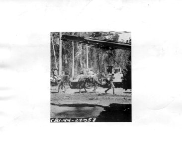 SC 190516 - Approximately four miles north of Shedazup, No…