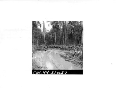 SC 190514 - This column of troops of the 22nd American Tra…