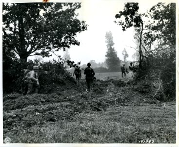 SC 191997 - GIs move forward through breach in hedgerow ma…
