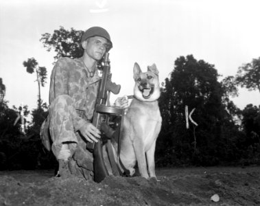 127-N-71319 - Bougainville. Pfc. H.J. Finley and war dog P… photo