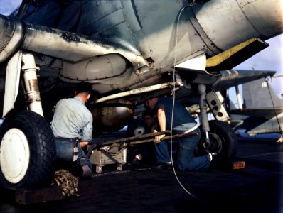 Aviation ordnancemen load bomb on underside of TBF.