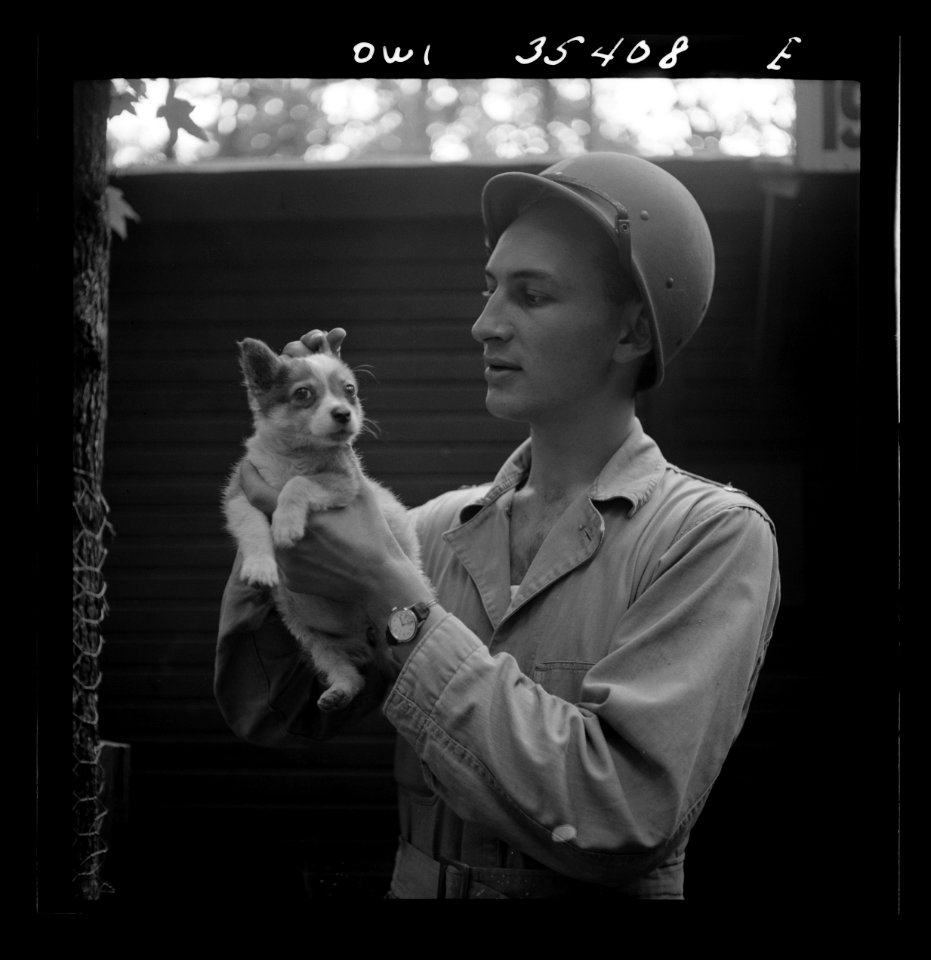 Greenville, South Carolina. Air Service Command. Lieutenan…