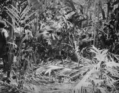 Marines moving through thick jungle on Guadalcanal.