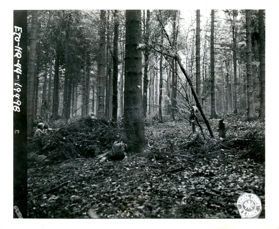 SC 334992 - Yank infantrymen moving through Hurtgen forest…
