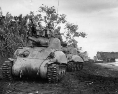 SC 190495 - Tanks of the 41st Division line up along the b…