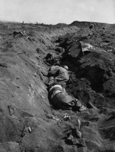 Dead Japanese soldiers sprawled in a ditch on Iwo Jima.