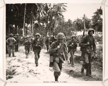Members of 1st Btn., 3rd Marines, coming out of the jungle… photo