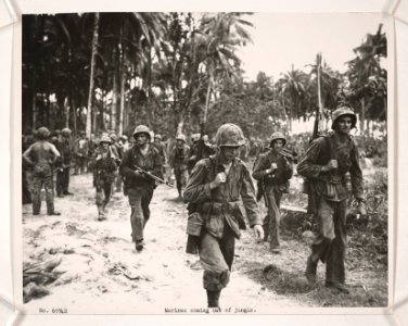 Members of 1st Btn., 3rd Marines, coming out of the jungle…