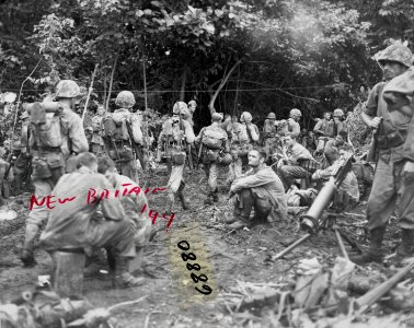 Marines moving up on Cape Gloucester.